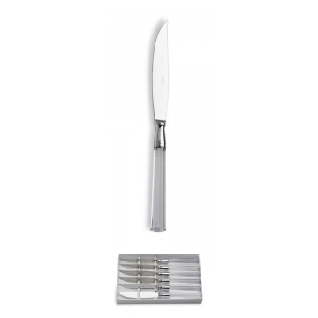 Estuche de 6 cuchillos para carne