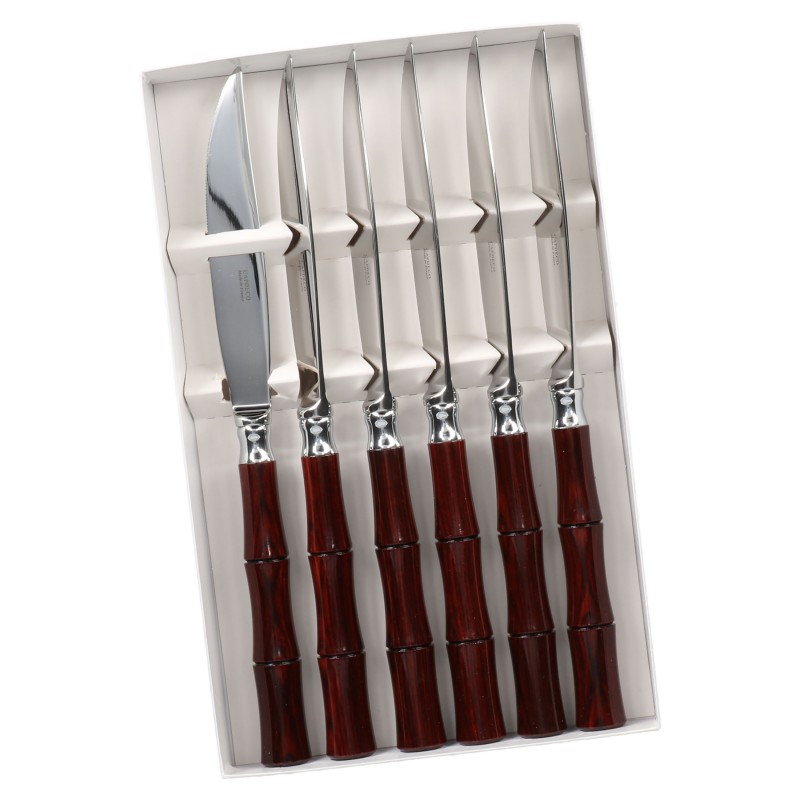 Estuches de 6 cuchillos para carne dans Couverts Couleurs et Transparents