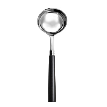 Sauce ladle